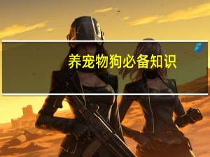 养宠物狗必备知识