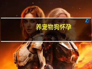 养宠物狗怀孕