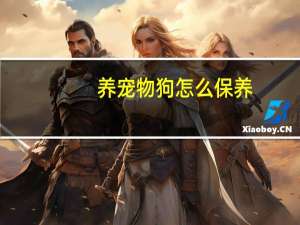 养宠物狗怎么保养