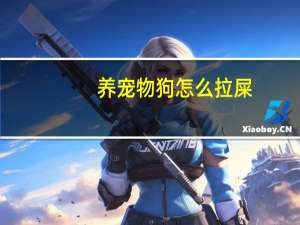 养宠物狗怎么拉屎