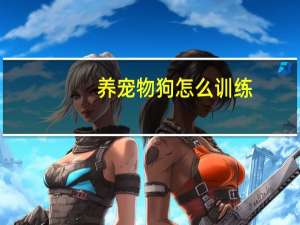 养宠物狗怎么训练