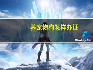 养宠物狗怎样办证