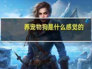 养宠物狗是什么感觉的