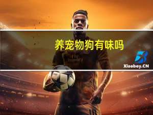 养宠物狗有味吗