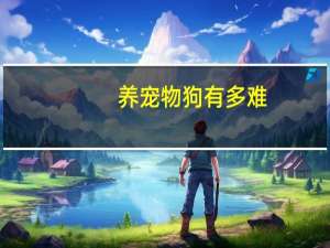 养宠物狗有多难
