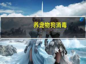 养宠物狗消毒