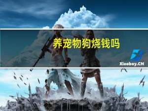 养宠物狗烧钱吗