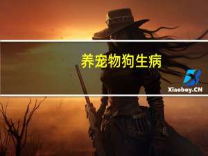 养宠物狗生病