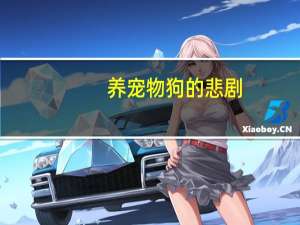 养宠物狗的悲剧