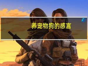 养宠物狗的感言