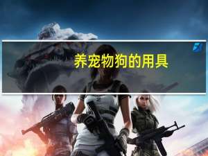 养宠物狗的用具