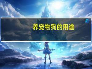 养宠物狗的用途