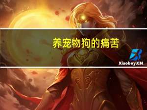 养宠物狗的痛苦