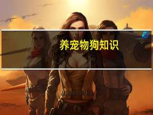 养宠物狗知识