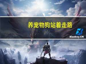 养宠物狗站着走路