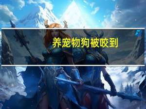 养宠物狗被咬到