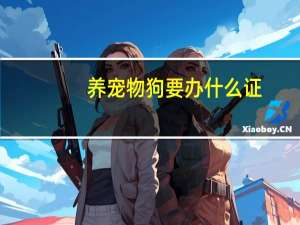养宠物狗要办什么证