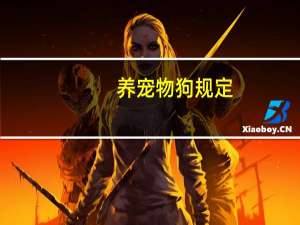养宠物狗规定