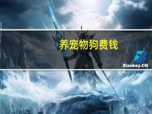 养宠物狗费钱