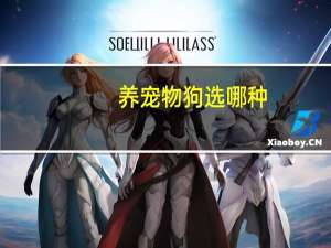 养宠物狗选哪种
