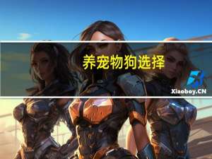 养宠物狗选择