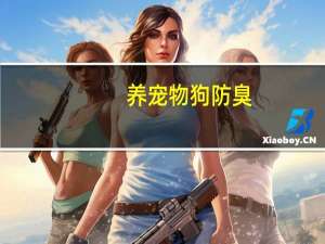 养宠物狗防臭