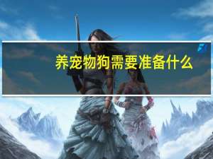 养宠物狗需要准备什么