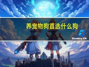 养宠物狗首选什么狗
