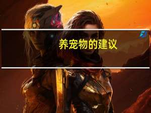 养宠物的建议