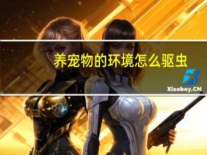 养宠物的环境怎么驱虫