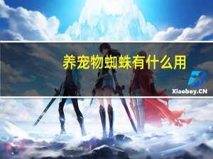 养宠物蜘蛛有什么用