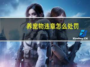 养宠物违章怎么处罚