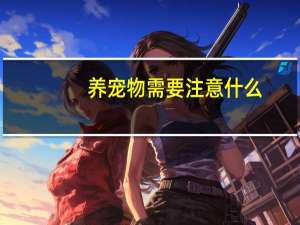 养宠物需要注意什么