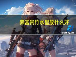 养富贵竹水里放什么好