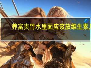 养富贵竹水里面应该放维生素几（富贵竹的水养殖方法和注意事项）