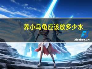 养小乌龟应该放多少水