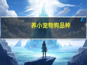 养小宠物狗品种