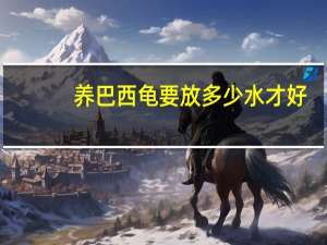 养巴西龟要放多少水才好