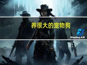 养很大的宠物狗