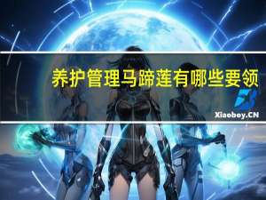 养护管理马蹄莲有哪些要领