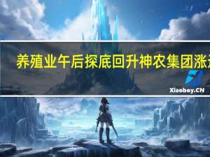 养殖业午后探底回升神农集团涨近6%