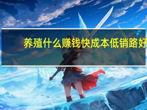 养殖什么赚钱快成本低销路好（养殖什么赚钱快成本低）