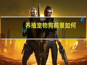 养殖宠物狗前景如何
