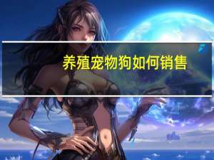 养殖宠物狗如何销售