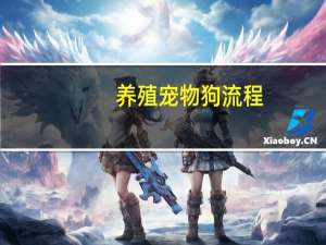 养殖宠物狗流程