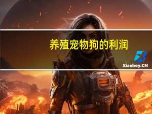 养殖宠物狗的利润