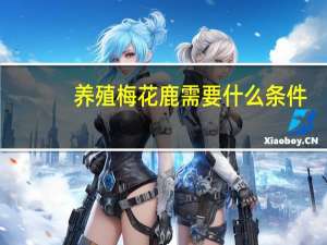 养殖梅花鹿需要什么条件