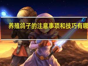 养殖鸽子的注意事项和技巧有哪些