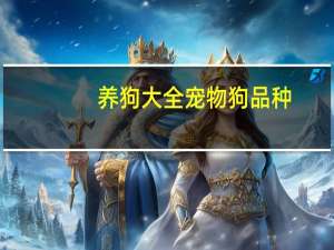 养狗大全宠物狗品种