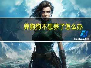 养狗狗不想养了怎么办